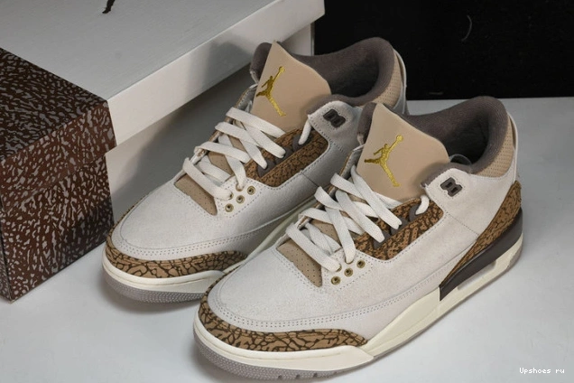 Jordan Palomino Retro   CT8532-102 3 0706